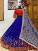 Picture of Lehenga Choli With Real Mirror Work or Women And Girls